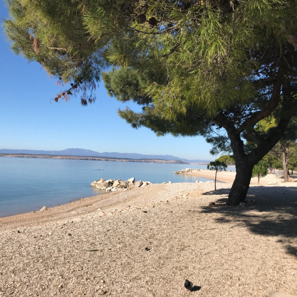Apartments Vesna, Family Apartments Parat Crikvenica 51260 Crikvenica